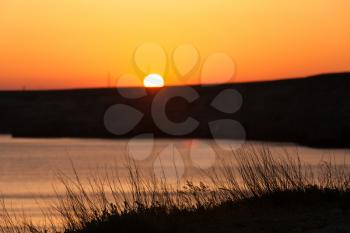 Sunset in the sea bay with grass silhouette

