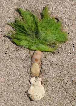 Palm tree made from stone and seaweed on the sand beach


