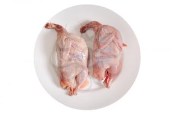 Two partridge fresh birds on white plate
