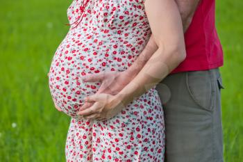 Husband hands on pregnant woman belly, outdoor shooting
