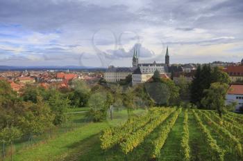 Vineyard and cathedral in Bamberg, Germany
