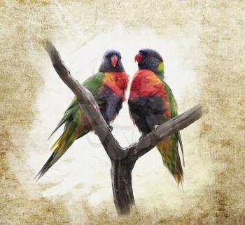 Royalty Free Photo of Parrots in a Tree