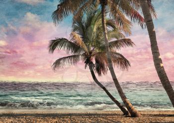 Royalty Free Photo of a Tropical Beach at Sunset