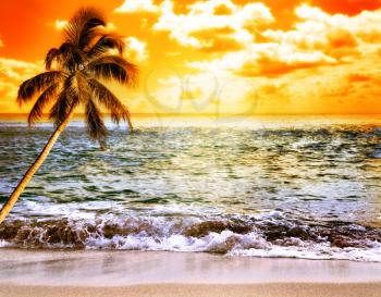 Royalty Free Photo of a Tropical Beach at Sunset