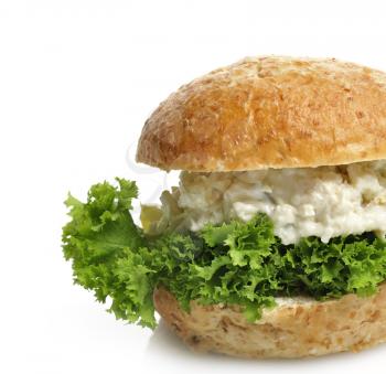 Royalty Free Photo of a Chicken Salad Sandwich