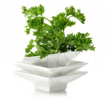 Royalty Free Photo of Parsley in a White Dish