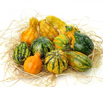 Royalty Free Photo of a Pile of Gourds