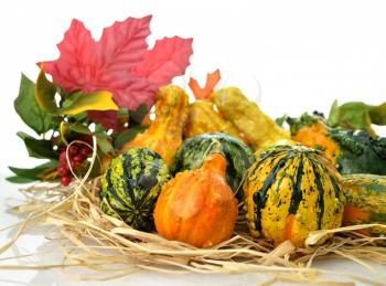 Royalty Free Photo of Gourds in a Basket