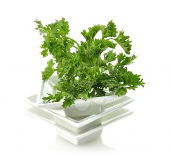 Royalty Free Photo of Parsley in a White Dish