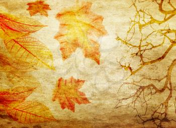 Royalty Free Photo of an Autumn Background