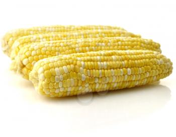Ears of corn  on white background