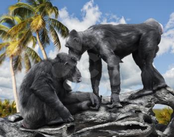 Two Chimpanzee Sitting On A Branch