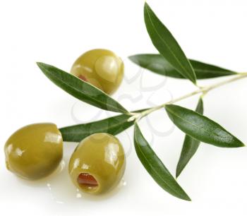 Green Olives With A Olive Tree Branch