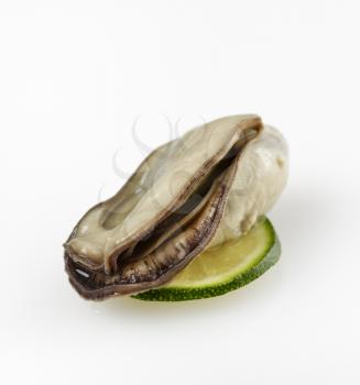 Oyster With Lemon On White Background
