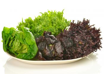 fresh salad leaves assortment on a plate 
