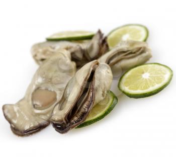 Oysters With Lemon On White Background