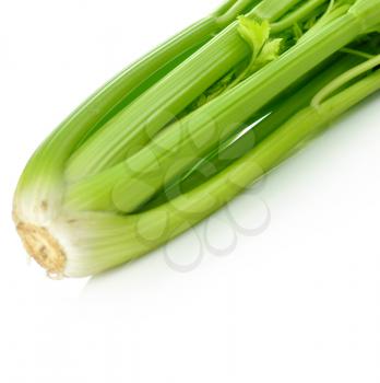 celery , close up