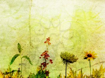 Fall Grunge Background With Flowers And Leaves