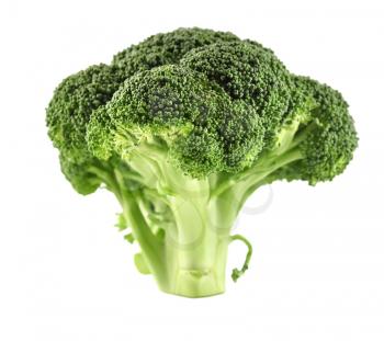 Broccoli Cabbage, close up, on white background