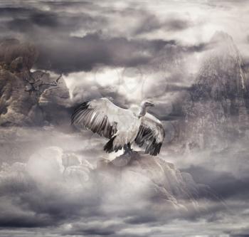 Foggy Mountain Landscape  With A Vulture
