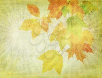 grunge background with colorful leaves, close-up 