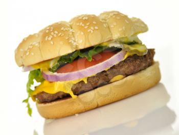 a  hamburger  on white background , close up

