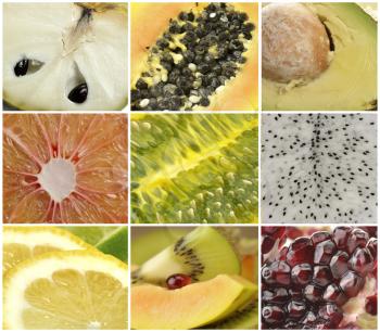 Collection Of Exotic Fruits,Close Up