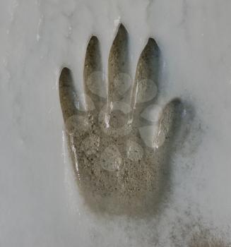 Handprint On A Frozen Stone