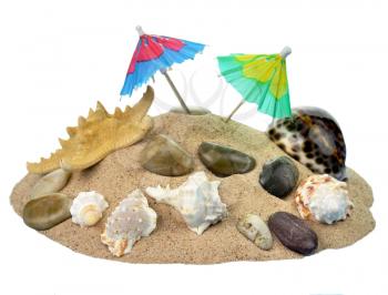 seashells and rocks on sand over white background 
