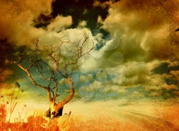 Lonely dry tree and dramatic sky  on grungy background 