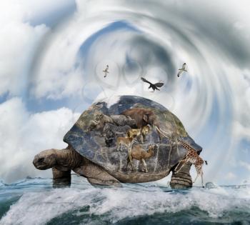 World Turtle Concept Carrying Animals