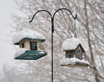 bird feeders in the winter park