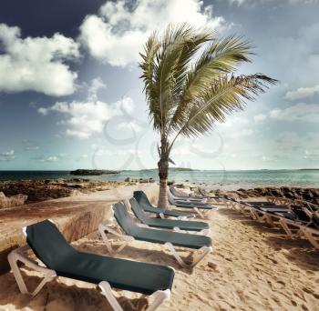 Chairs In A Tropical Beach