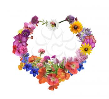 Colorful Assorted Flowers In Heart Shape Isolated On White Background 