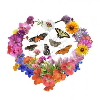 Butterflies And Assorted Flowers In Heart Shape Isolated On White Background 