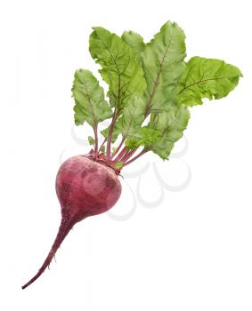 Beetroot With Leaves Isolated On White Background 