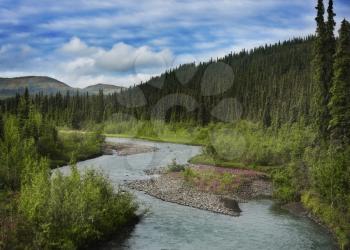 Alaska Landscape In Denali National Park