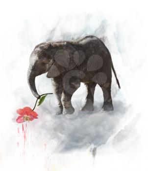Young Elephant With Red Flower. Watercolor Digital Painting