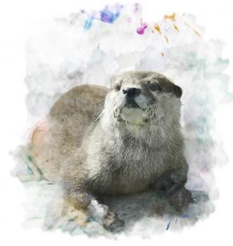Watercolor Digital Painting Of  Otter Portrait 