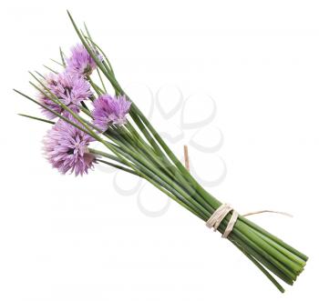 Chives With Flowers Isolated On White Background 