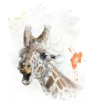 Watercolor Digital Painting Of  Giraffe Portrait