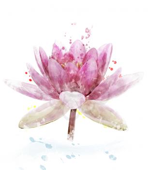 Watercolor Digital Painting Of Pink Waterlily Flower