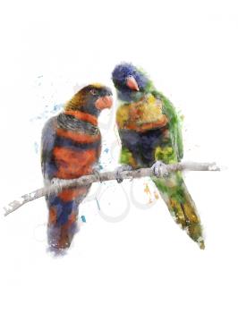 Watercolor Digital Painting Of Rainbow Parrots(Rainbow Lorikeet)