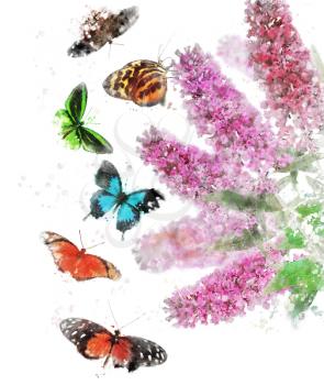 Watercolor Digital Painting Of Buddleja (Butterfly Bush) With Butterflies