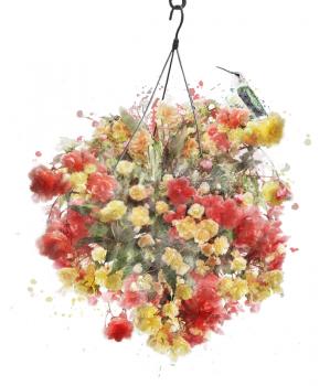 Watercolor Digital Painting Of Hanging Basket With Begonia Flowers