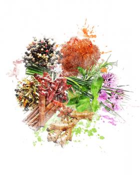 Watercolor Digital Painting Of  Spices And Herbs