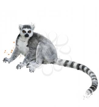 Watercolor Digital Painting Of Ring-tailed Lemur