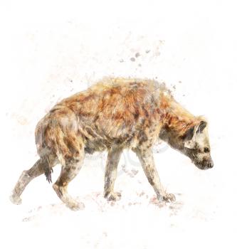 Watercolor Digital Painting Of Spotted Hyena
