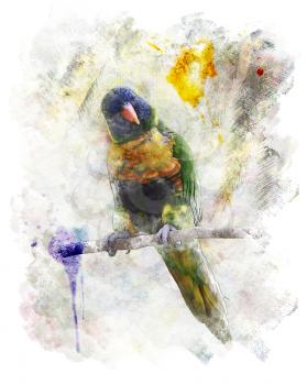 Watercolor Digital Painting Of Parrot (Rainbow Lorikeet)
