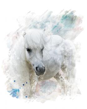 Watercolor Digital Painting Of   White Pony